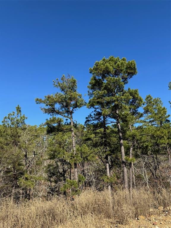 43 Western Maple Ct, Broken Bow, OK 74728