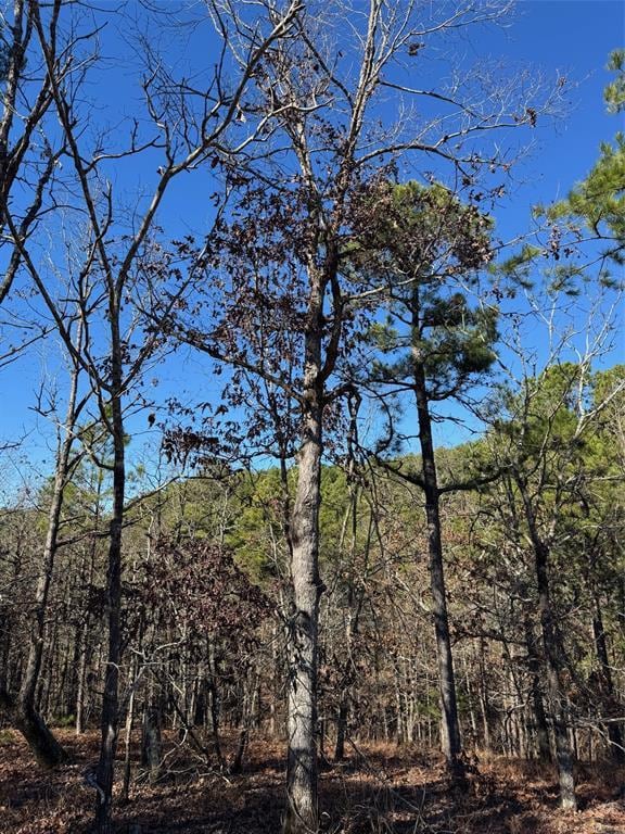 43 Western Maple Ct, Broken Bow, OK 74728