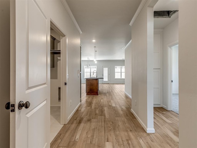 hall with crown molding and light hardwood / wood-style flooring