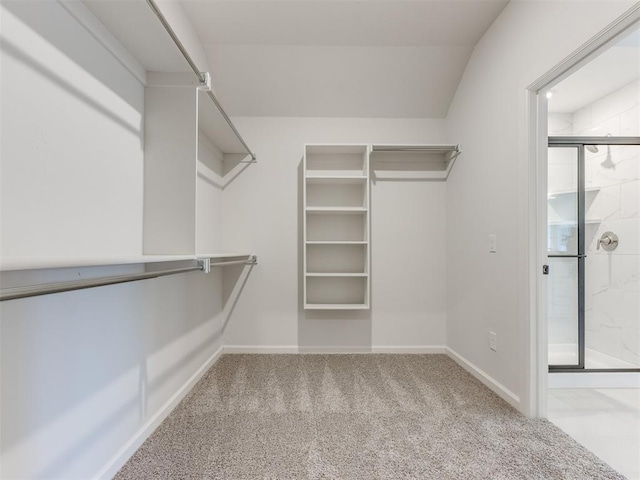 walk in closet with carpet flooring