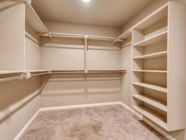 walk in closet with carpet