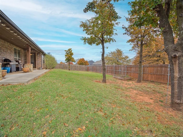 view of yard with a patio area