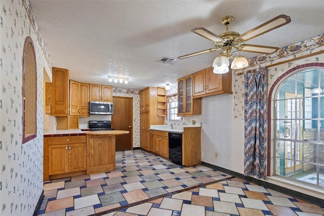 kitchen featuring ceiling fan, a textured ceiling, plenty of natural light, and black appliances