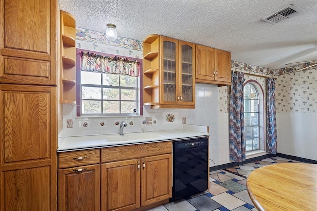 kitchen with dishwasher, a textured ceiling, and sink