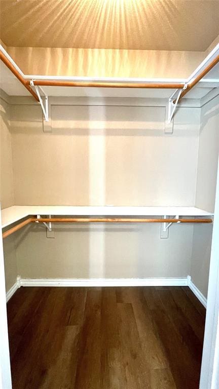 walk in closet with hardwood / wood-style floors