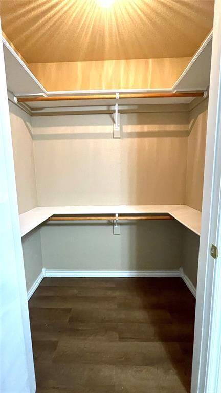 spacious closet featuring dark hardwood / wood-style floors