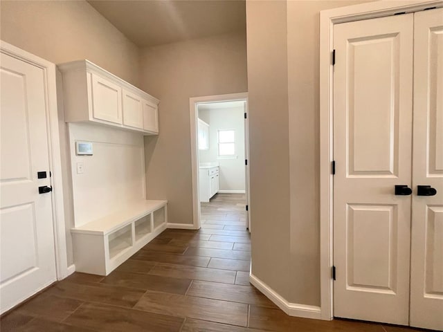 mudroom with dark hardwood / wood-style flooring