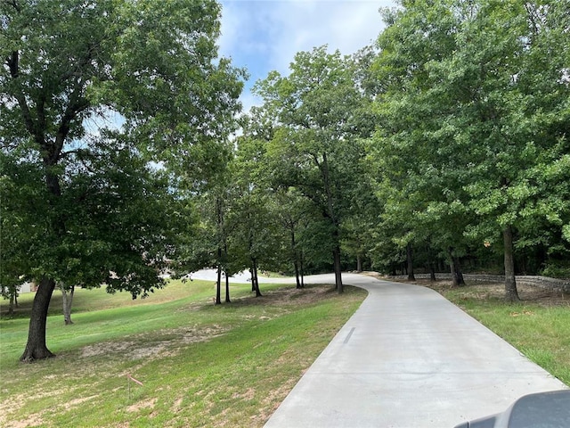 view of community featuring a yard