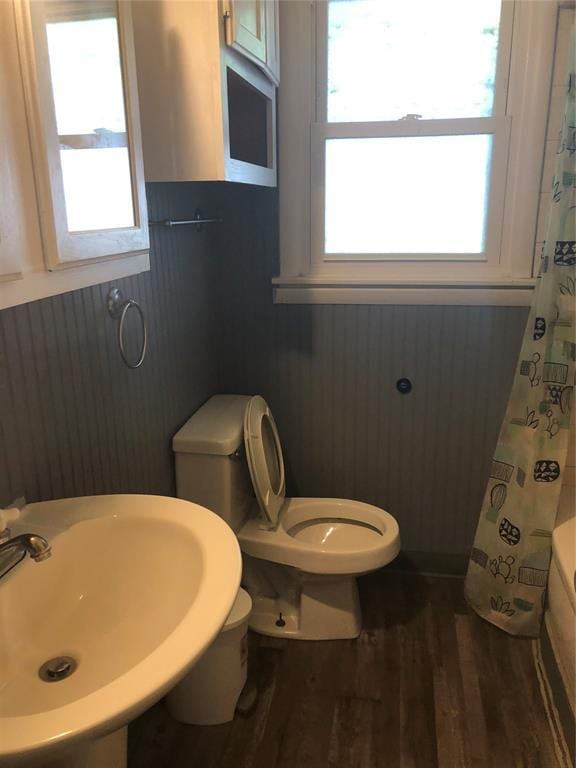 bathroom featuring sink, a healthy amount of sunlight, and wood-type flooring