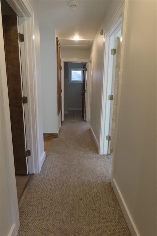 hall featuring light colored carpet