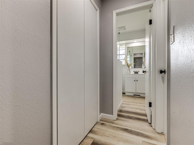 hall featuring light hardwood / wood-style flooring and sink