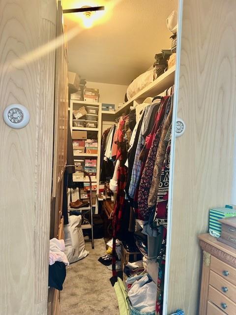 view of walk in closet