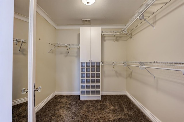 spacious closet featuring visible vents and carpet