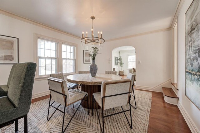 dining room featuring a wealth of natural light, a chandelier, crown molding, and wood finished floors