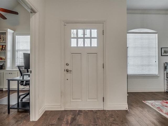 entrance foyer with ceiling fan, dark hardwood / wood-style flooring, ornamental molding, and a wealth of natural light