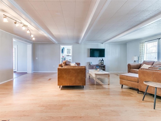 living room featuring light hardwood / wood-style flooring and ornamental molding