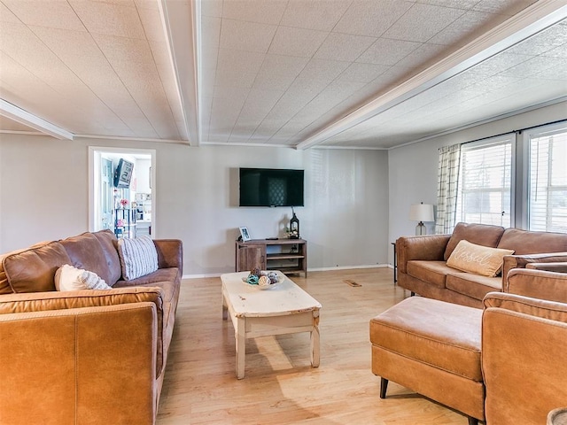 living room with light wood-type flooring