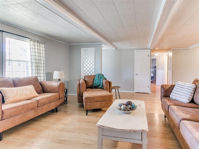 living room featuring crown molding and light hardwood / wood-style flooring