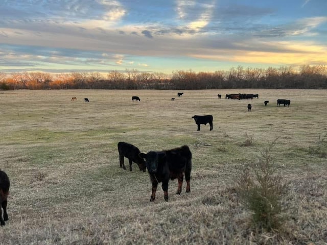 yard at dusk with a rural view