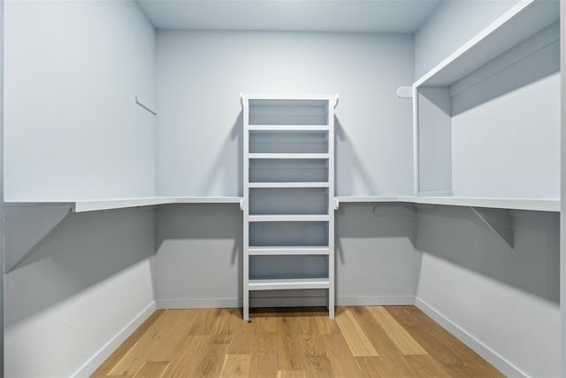 walk in closet with wood-type flooring