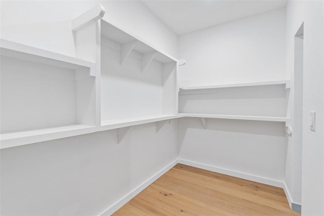 walk in closet featuring hardwood / wood-style floors