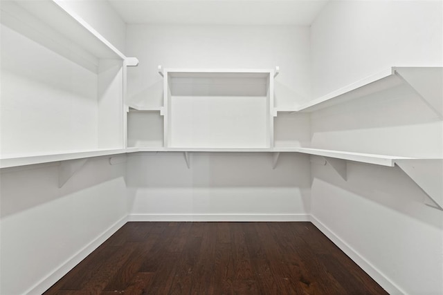 walk in closet with dark wood-type flooring