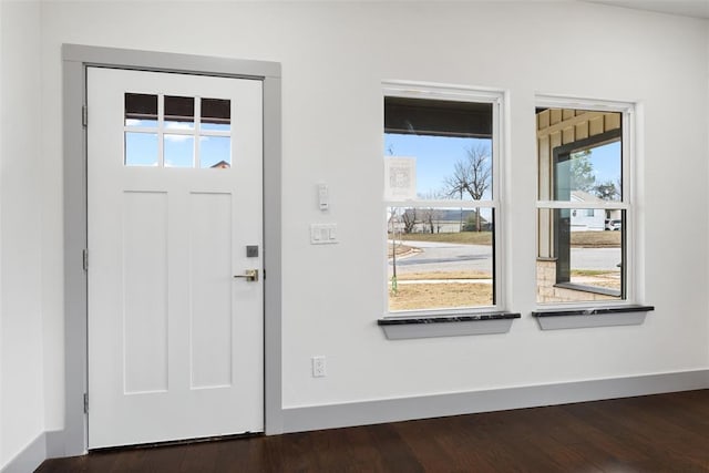 foyer featuring a wealth of natural light and dark wood-type flooring