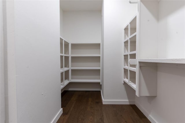 spacious closet featuring dark hardwood / wood-style flooring