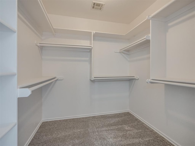 walk in closet featuring carpet floors