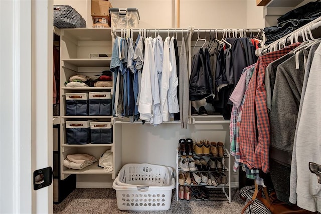 spacious closet featuring carpet