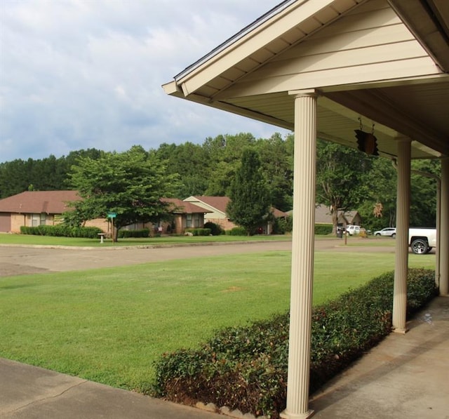 view of community with a yard