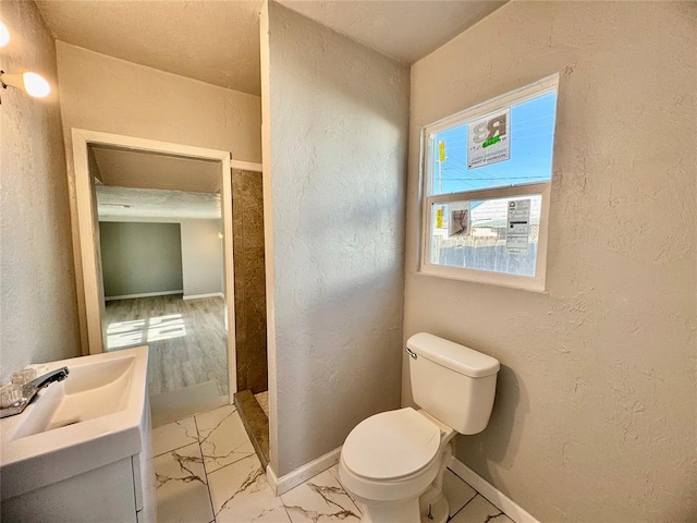 bathroom with toilet and vanity