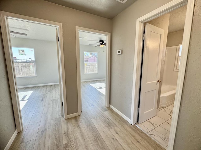 hall featuring light hardwood / wood-style floors