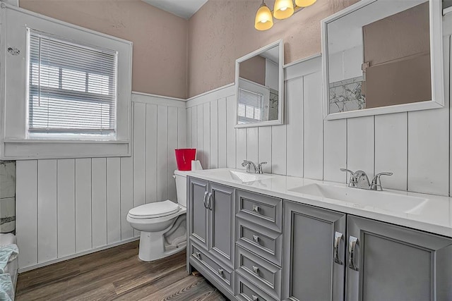 bathroom with vanity, hardwood / wood-style flooring, and toilet