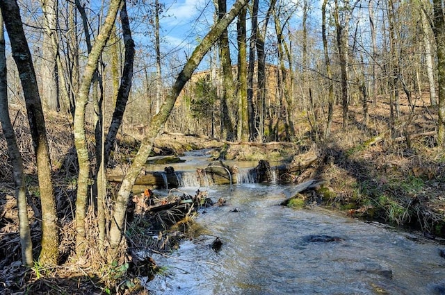 view of local wilderness