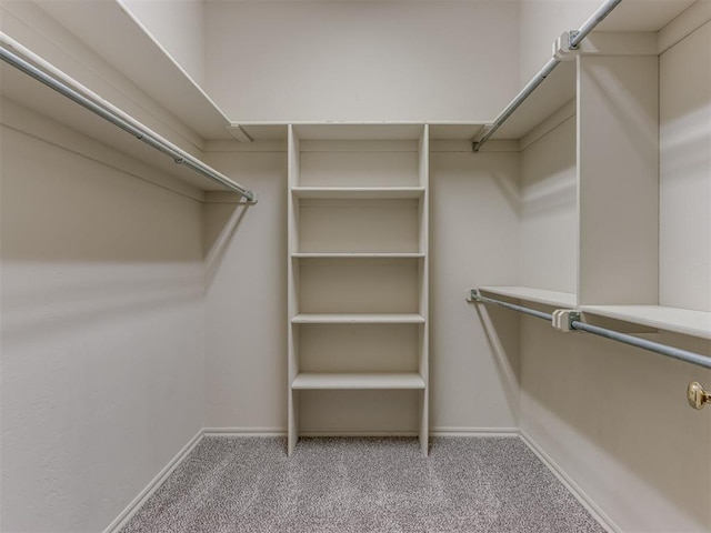 spacious closet featuring light colored carpet