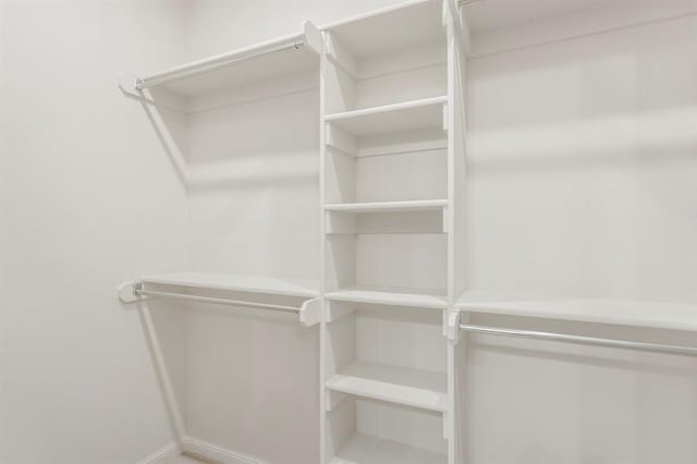 view of spacious closet