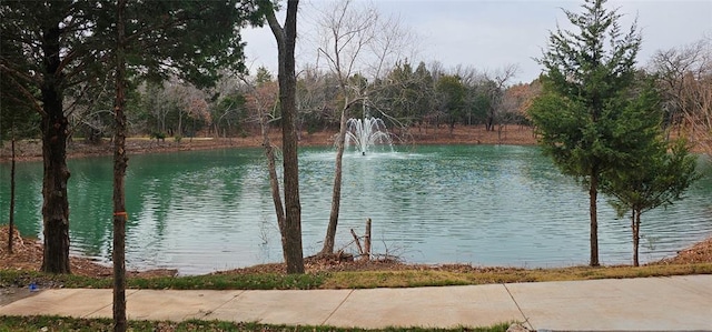 view of water feature