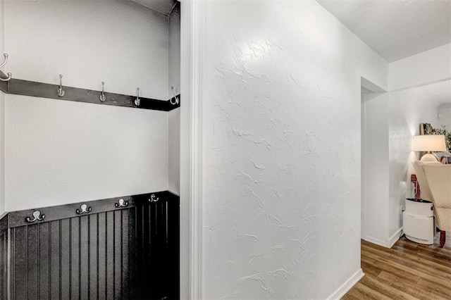 bathroom with wood-type flooring