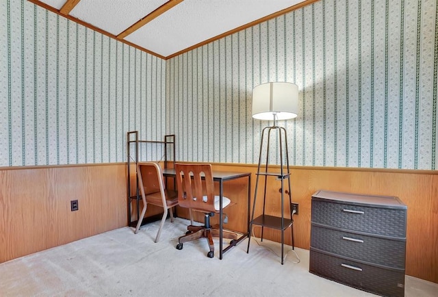 office area featuring light colored carpet and wooden walls