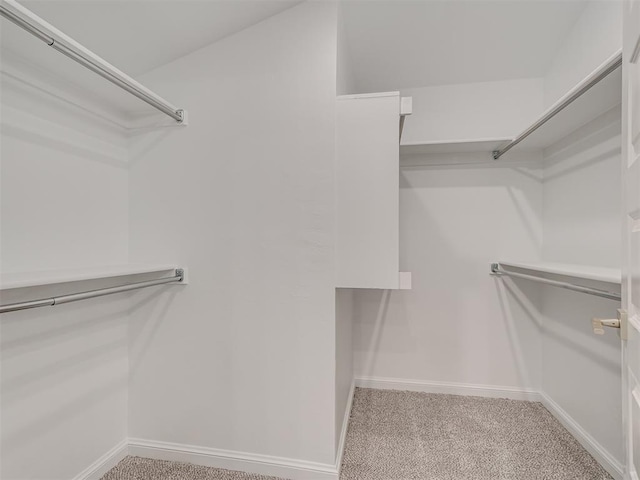 walk in closet featuring carpet floors