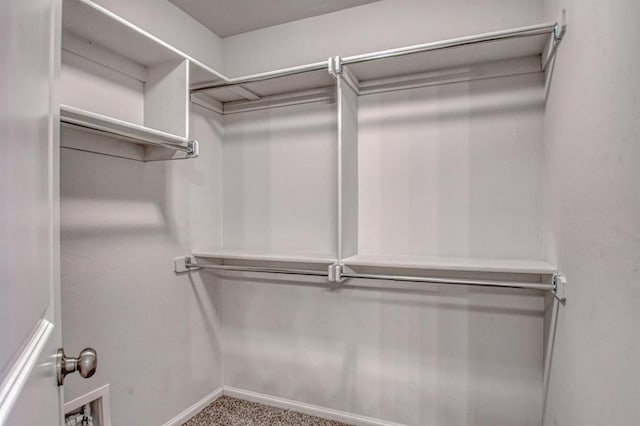 spacious closet featuring carpet