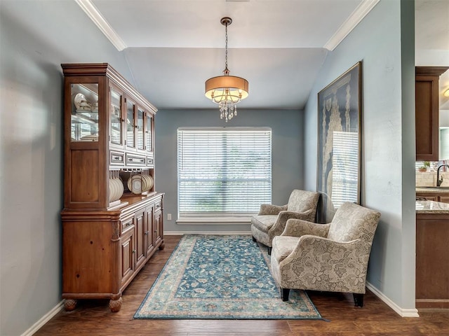 living area with dark hardwood / wood-style flooring, sink, vaulted ceiling, and ornamental molding