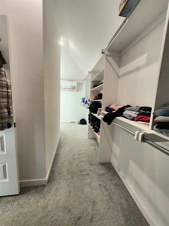 spacious closet featuring light colored carpet