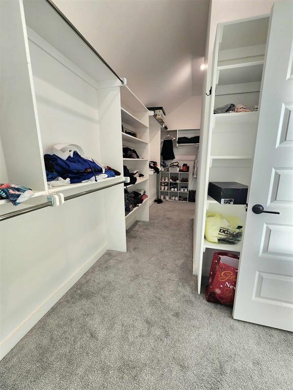 spacious closet featuring light colored carpet