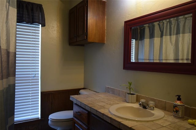 bathroom with vanity, toilet, and wooden walls