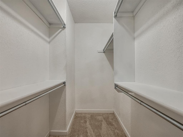 spacious closet with light carpet