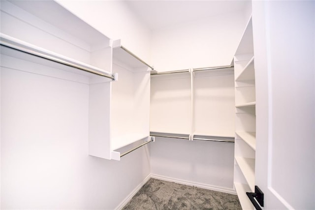 spacious closet featuring carpet flooring