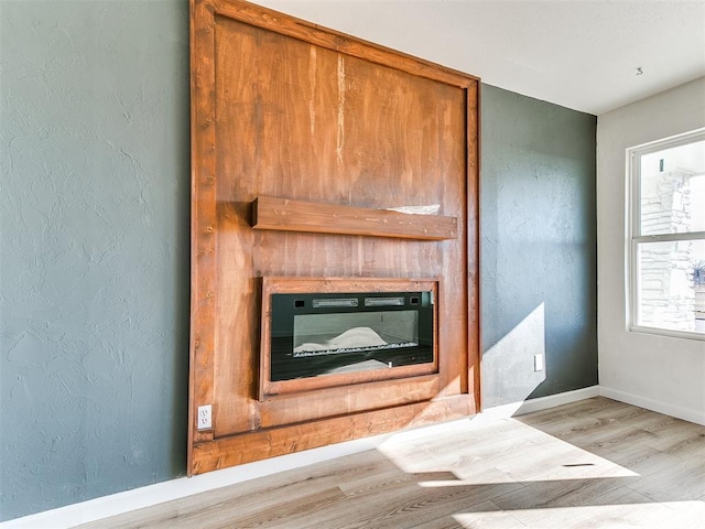 room details with hardwood / wood-style flooring