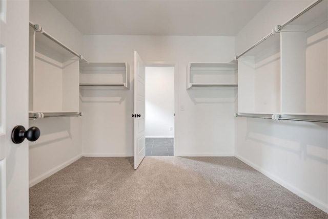 spacious closet featuring light carpet